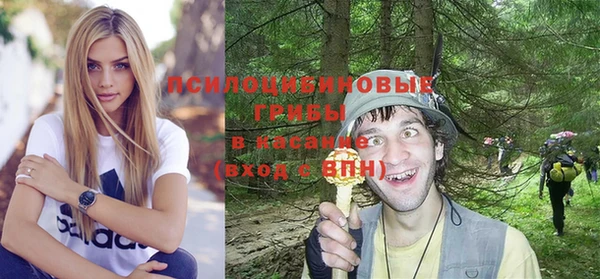 PSILOCYBIN Волоколамск