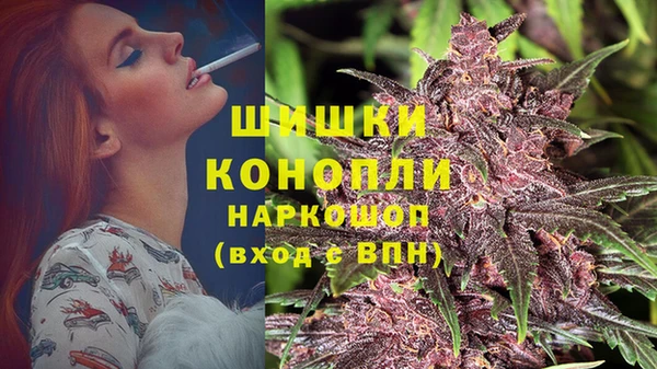 PSILOCYBIN Волоколамск