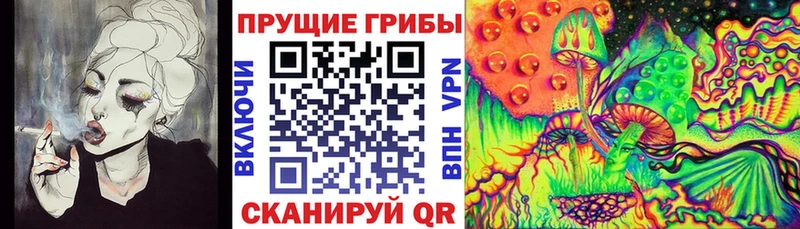Купить  Тайшет  Псилоцибиновые грибы ЛСД 